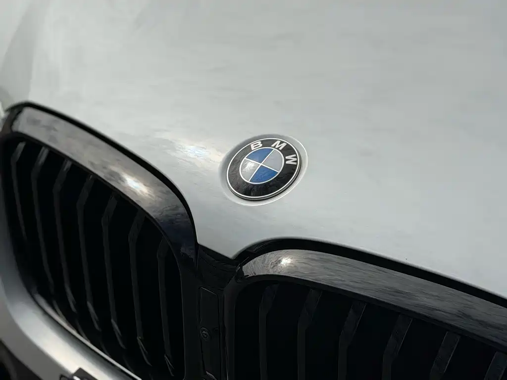 BMW X3 — миниатюра 5