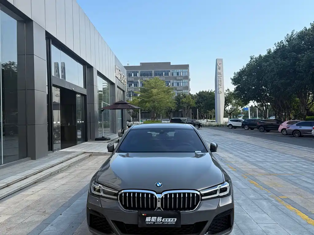 BMW 5 Series (Import) — миниатюра 3