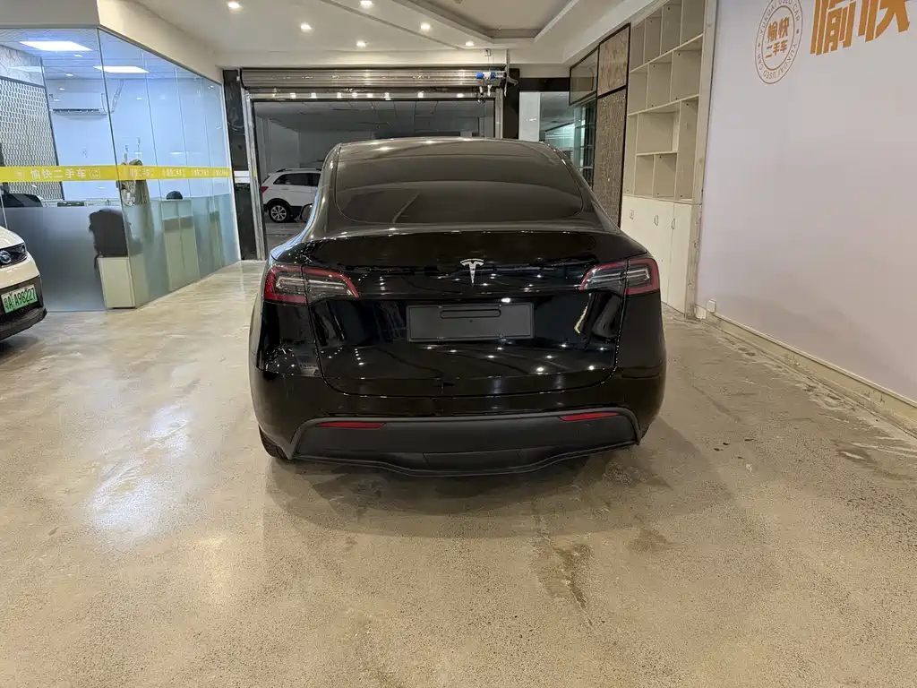 Tesla Model Y — миниатюра 6