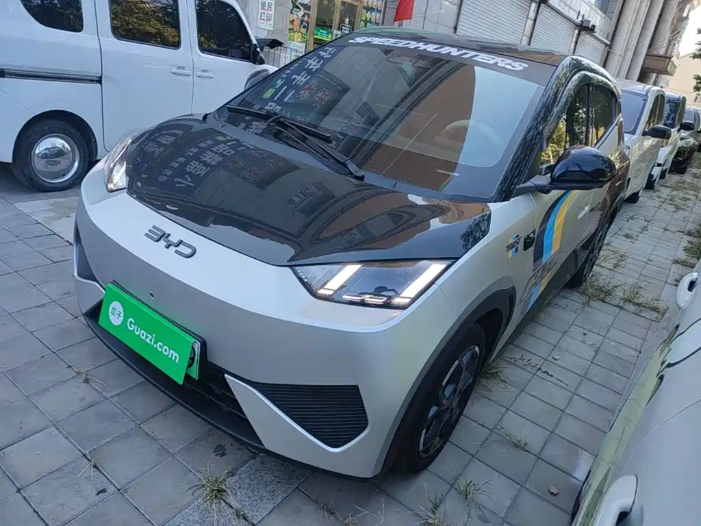BYD Seagull 2025 Smart Drive 305km Freedom