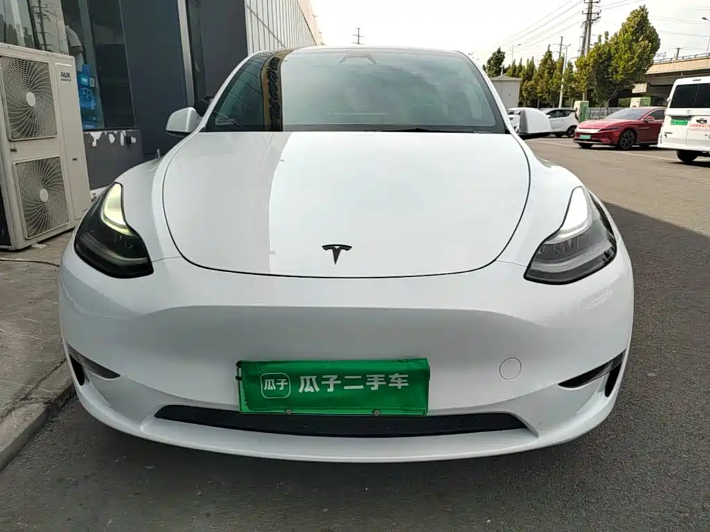 Tesla Model Y — миниатюра 3