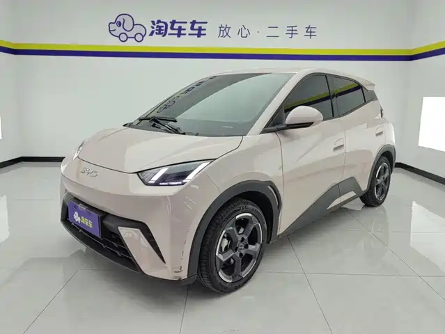 2024 BYD Seagull