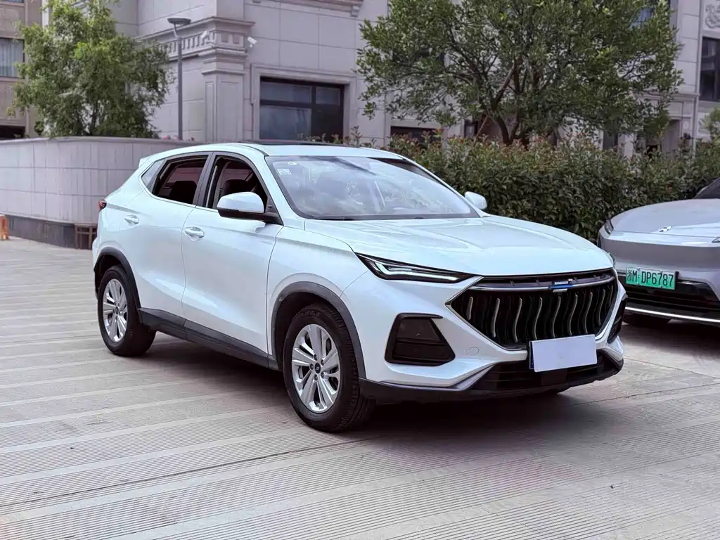 Oshan Oushang X5 — миниатюра 3