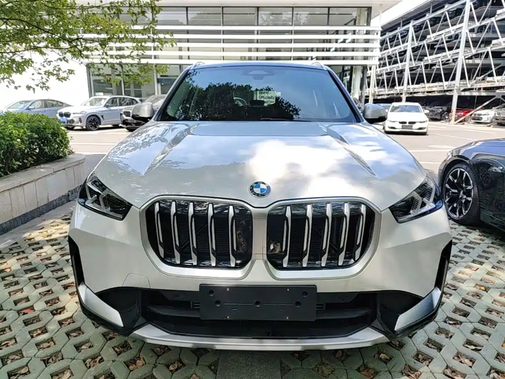 BMW X1 — миниатюра 3