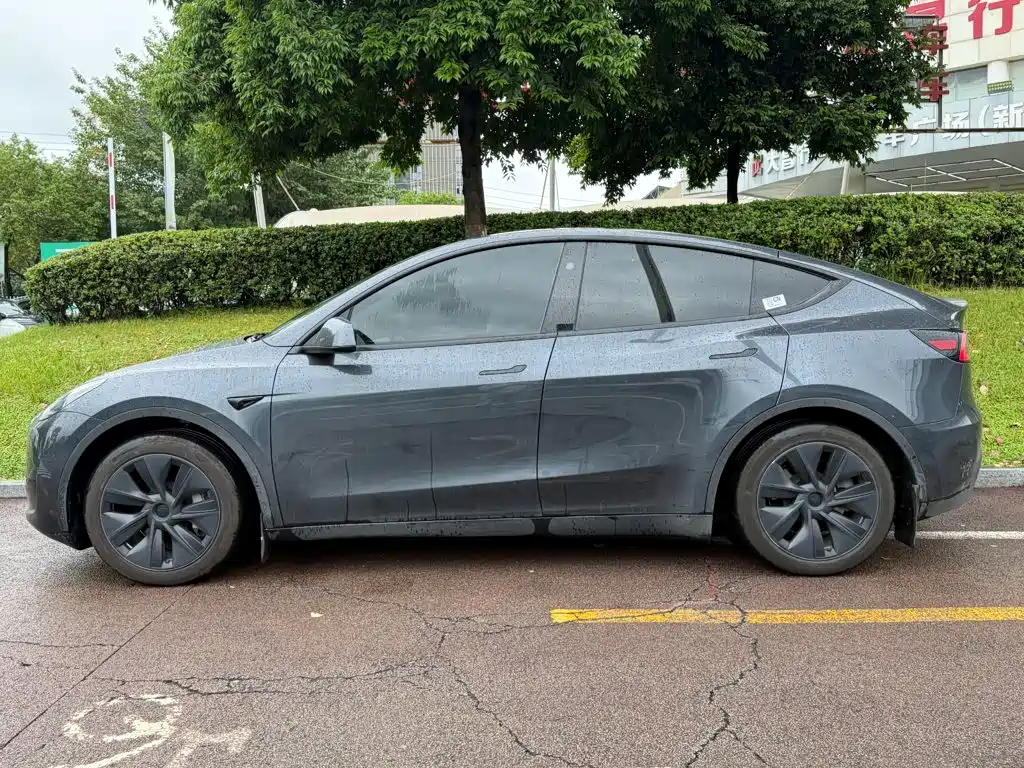 Tesla Model Y — миниатюра 3