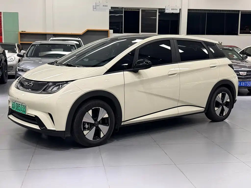 BYD Dolphin — миниатюра 2
