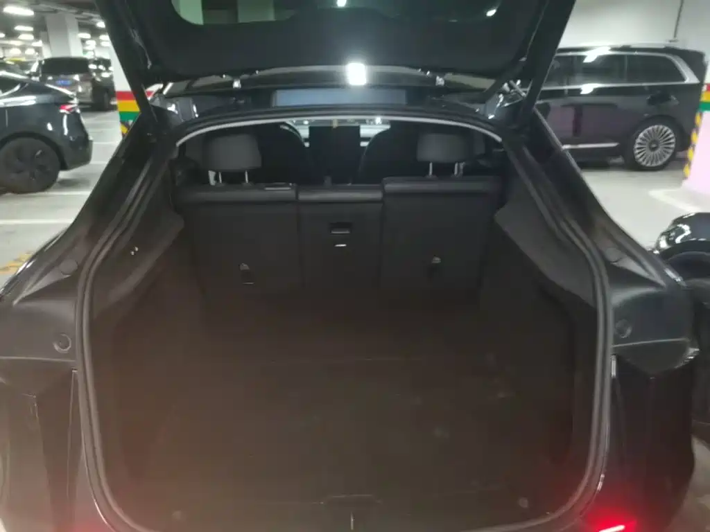 Tesla Model Y — миниатюра 19