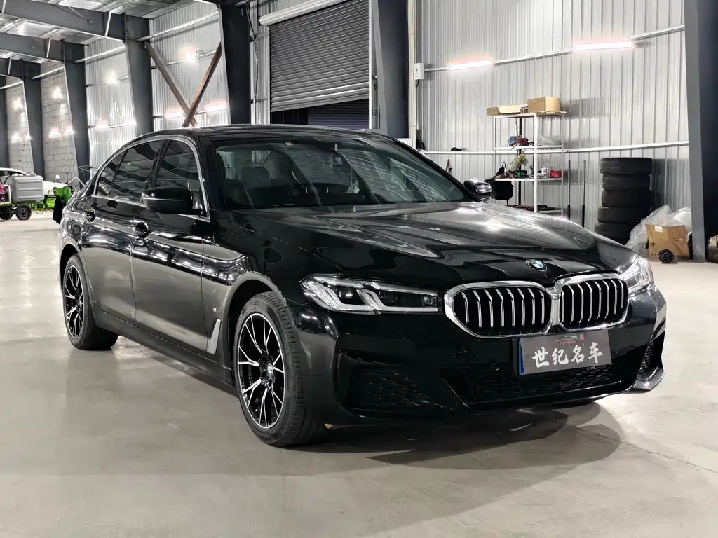 BMW 5 Series — миниатюра 3