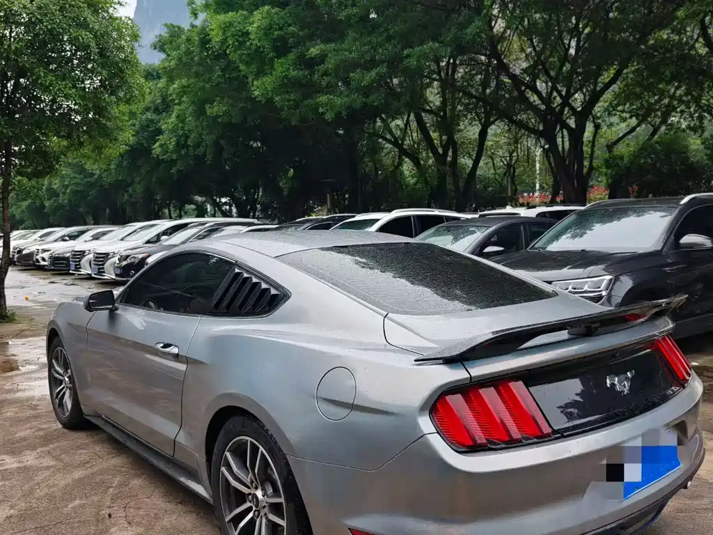 Ford Mustang 2.3T Performance Edition, фото 4