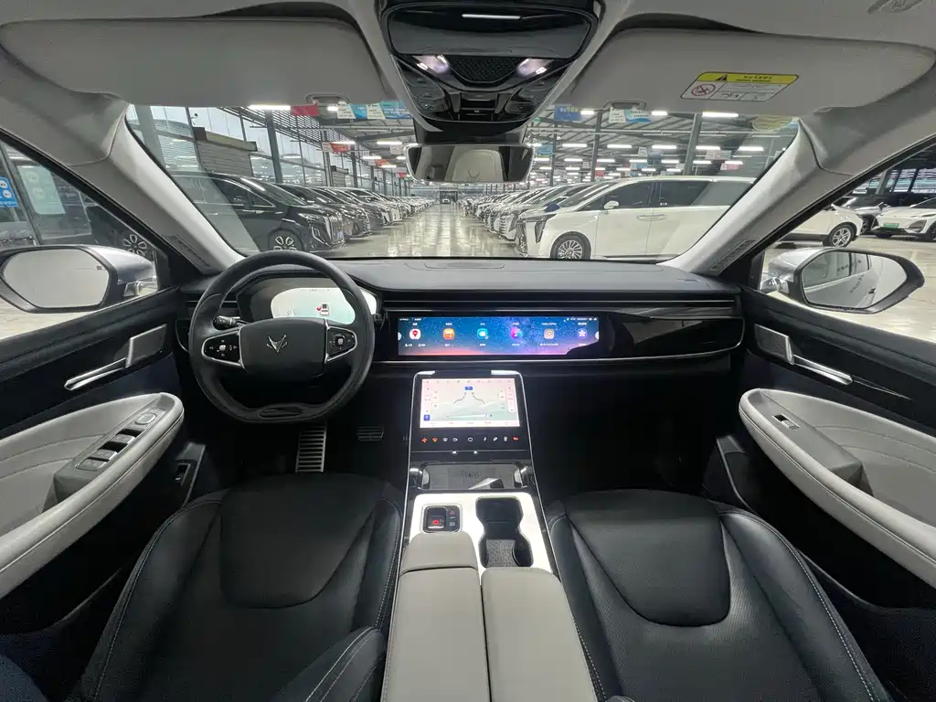 ARCFOX EXTREME FOX POLAR FOX ALPHA T