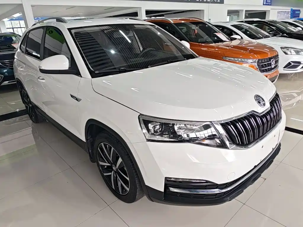 Skoda Kamiq — миниатюра 4