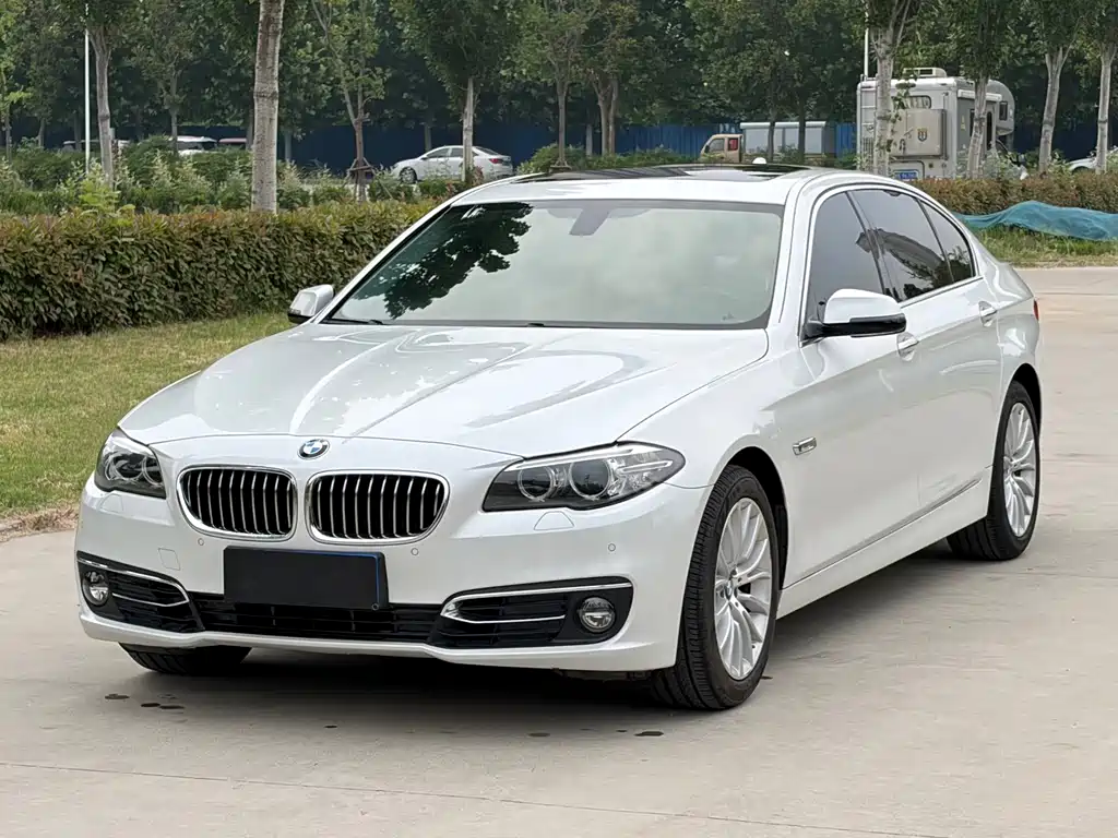 BMW 5 Series 2015