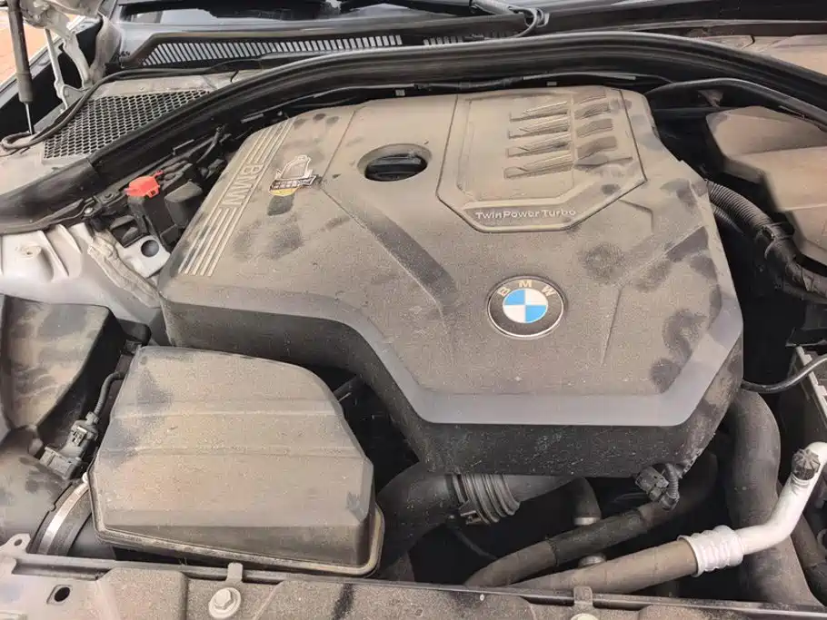 BMW 3 Series 3 2020 320Li M Sport