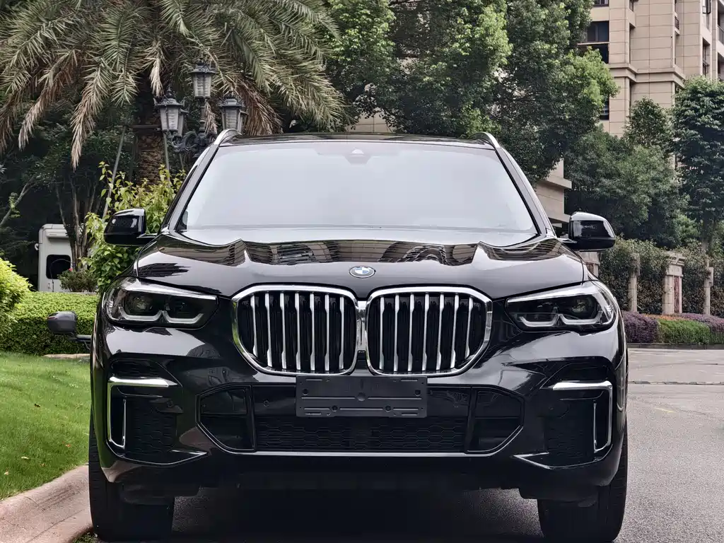 BMW X5 2022 xDrive 30Li M Sport