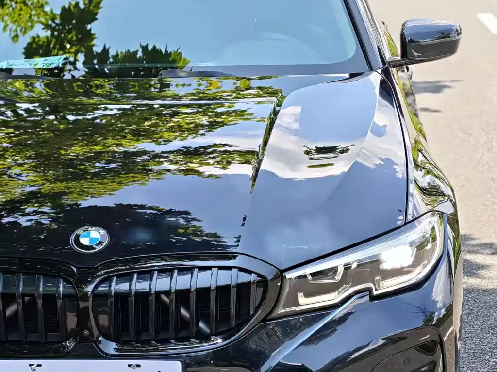 BMW 3 Series 3 2021 325Li M Sport