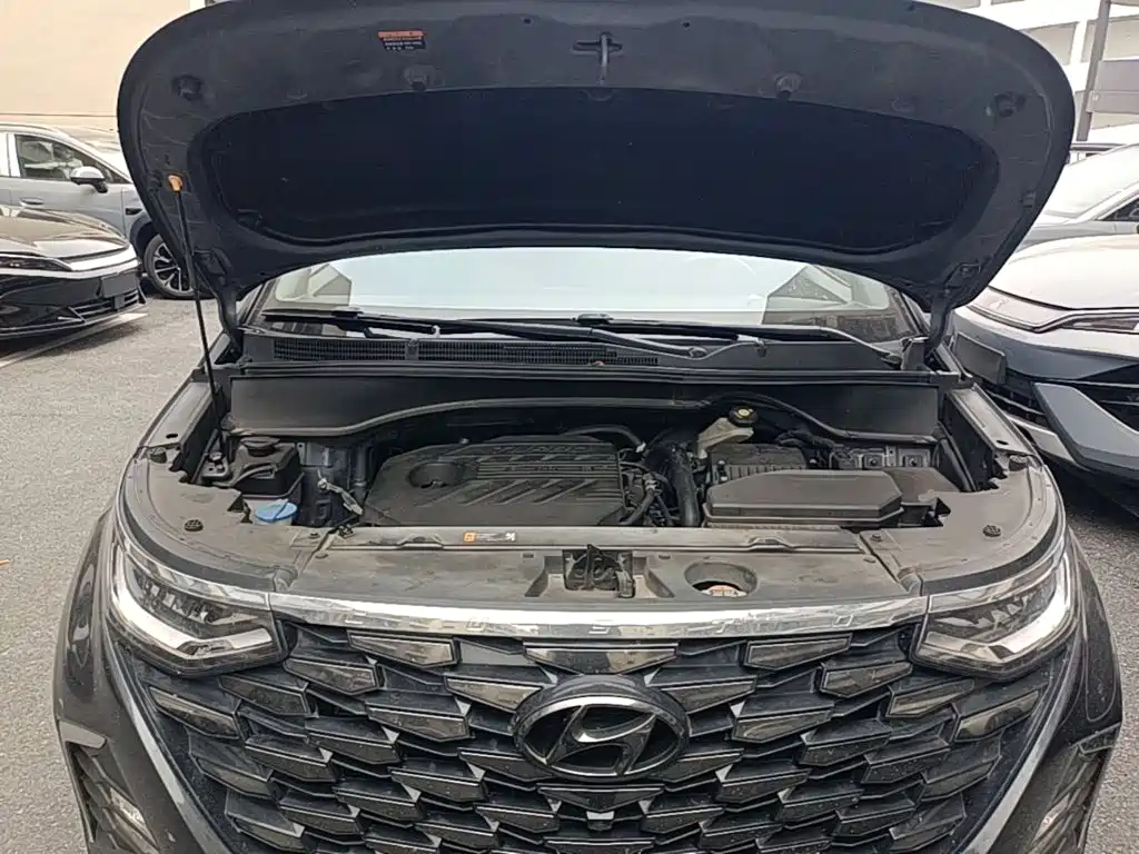 Hyundai Custo — миниатюра 25