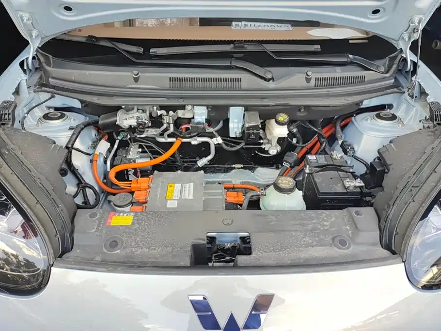 Wuling Binguo 2025 333km Premium