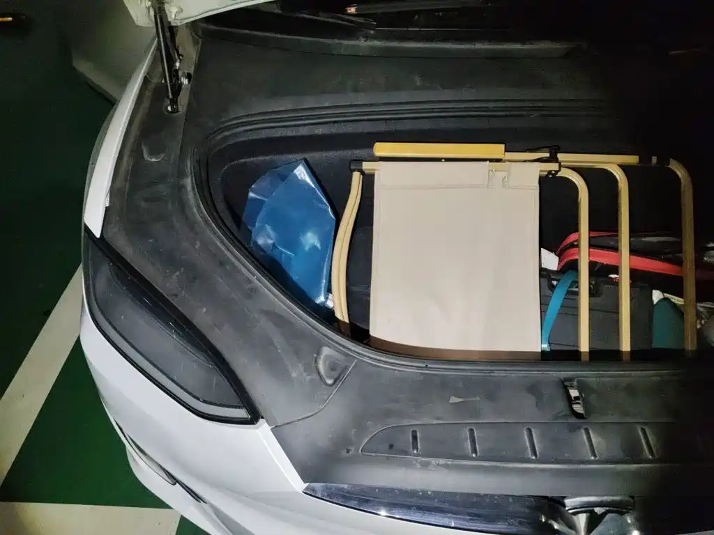 Tesla Model X — миниатюра 19