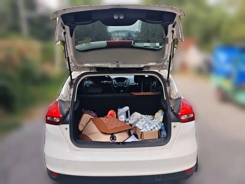 Ford Focus — миниатюра 15