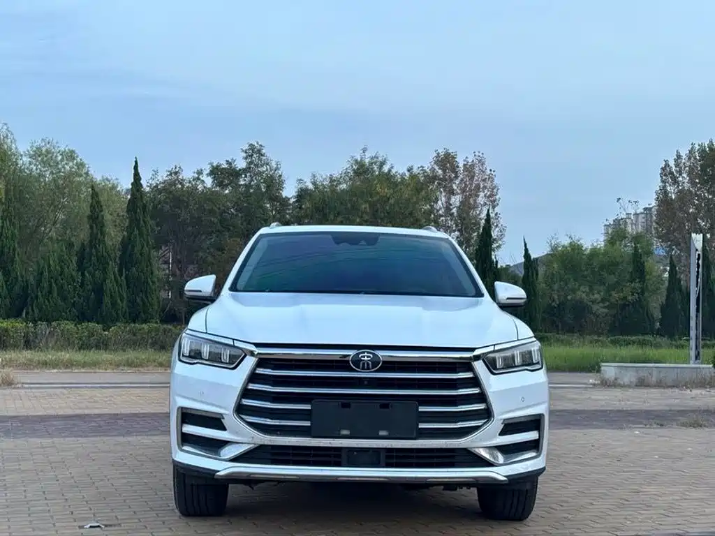 BYD Pro — миниатюра 2
