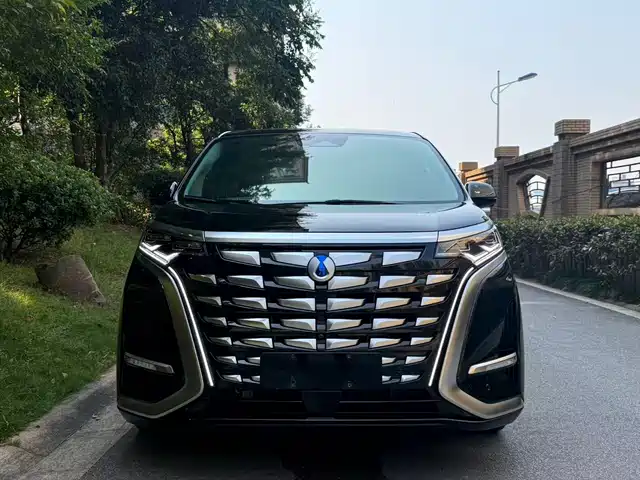 Denza D9