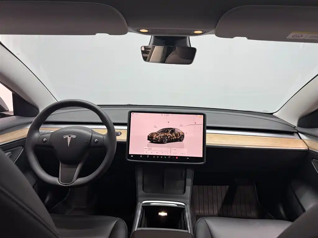 Tesla Model 3 — миниатюра 6