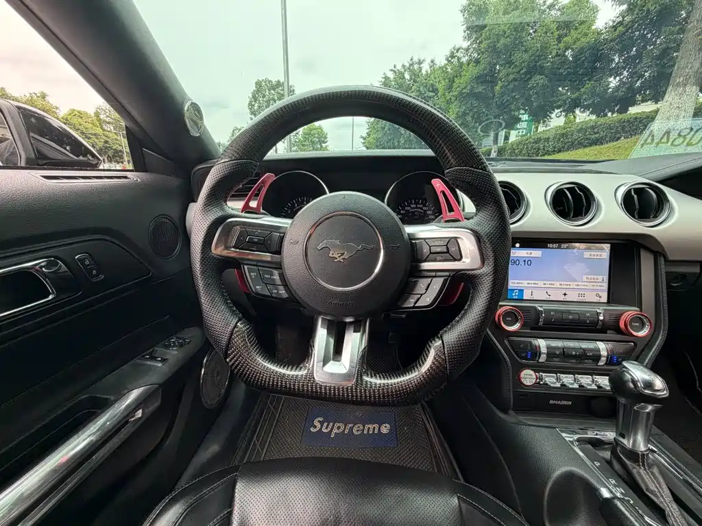 Ford Mustang — миниатюра 12