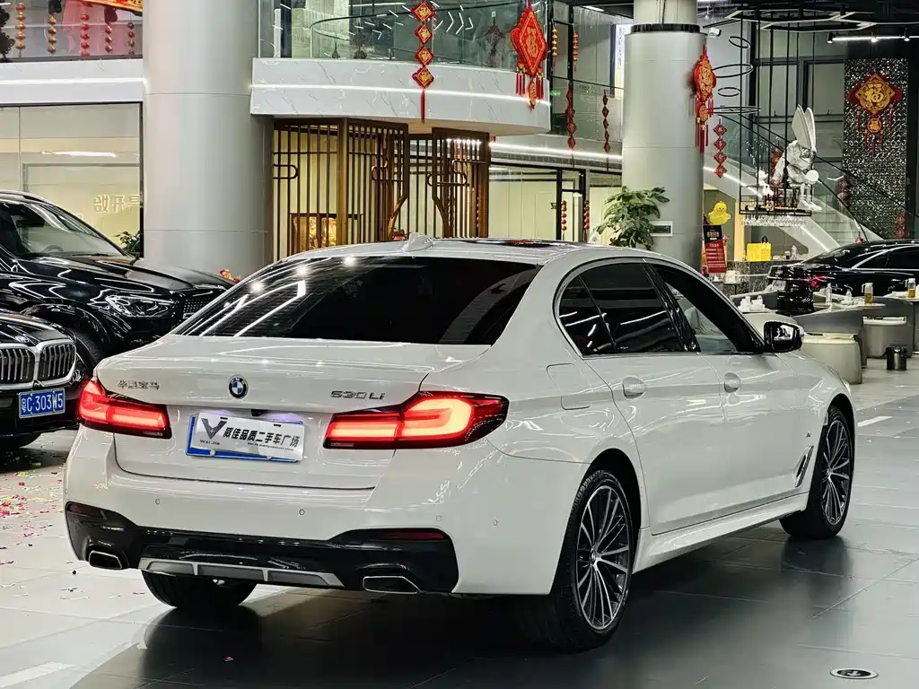 BMW 5 Series — миниатюра 8