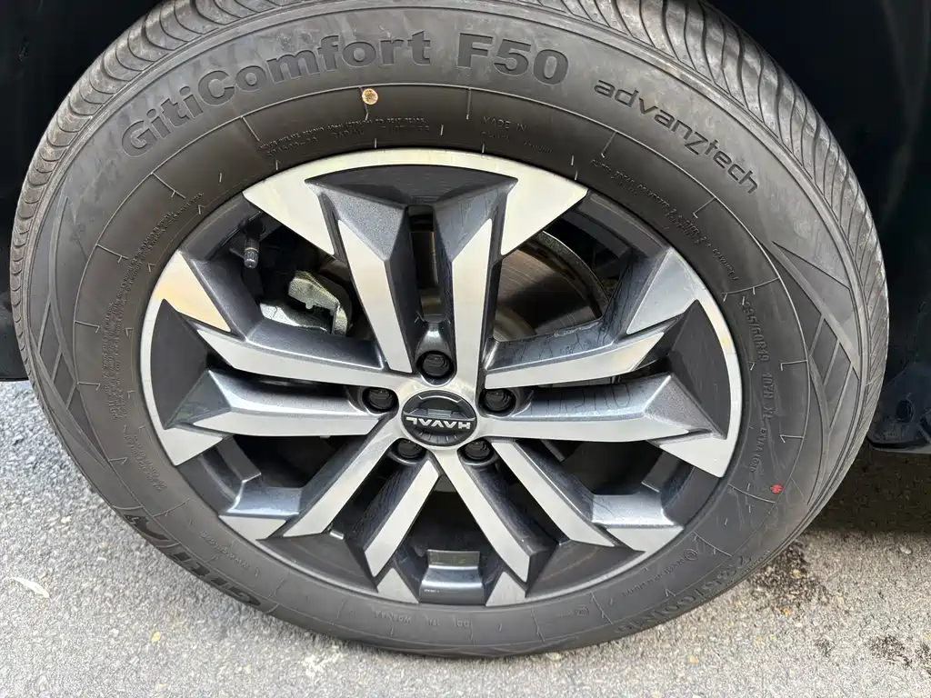 Haval Big Dog — миниатюра 14