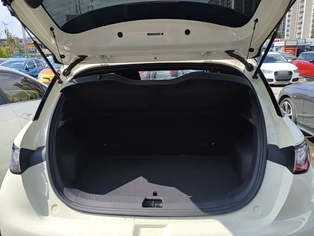 BYD Dolphin — миниатюра 19