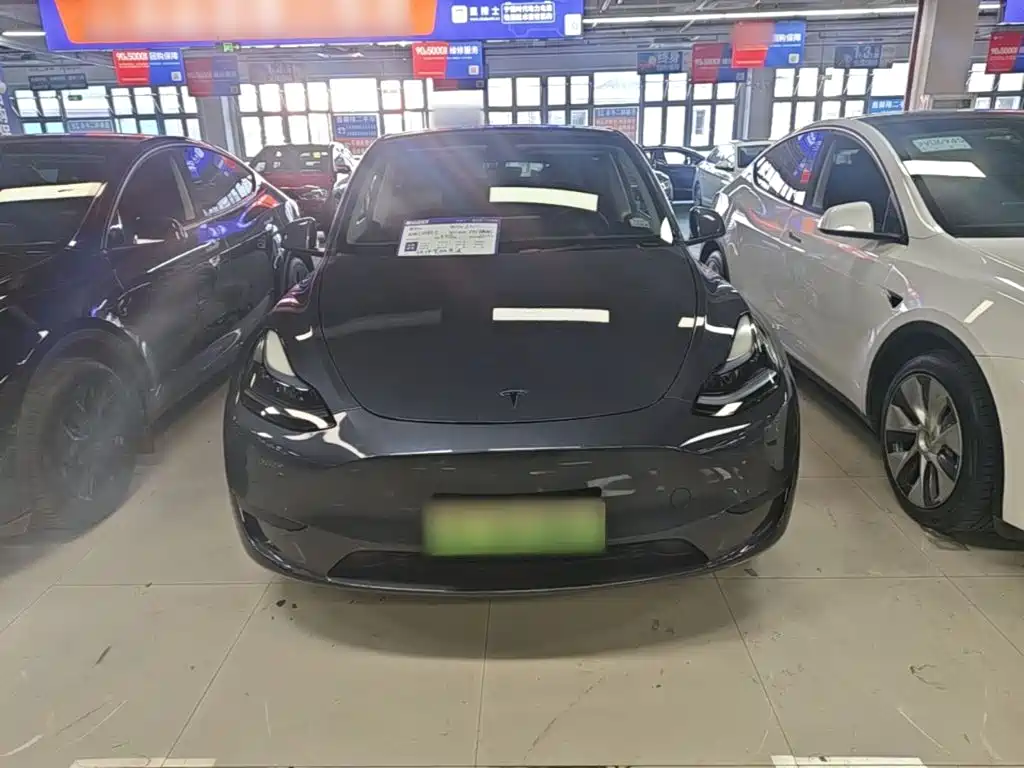 Tesla Model Y — миниатюра 3