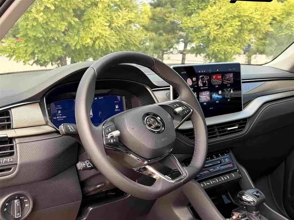 Skoda Kodiaq id 4589138 из Китая 17
