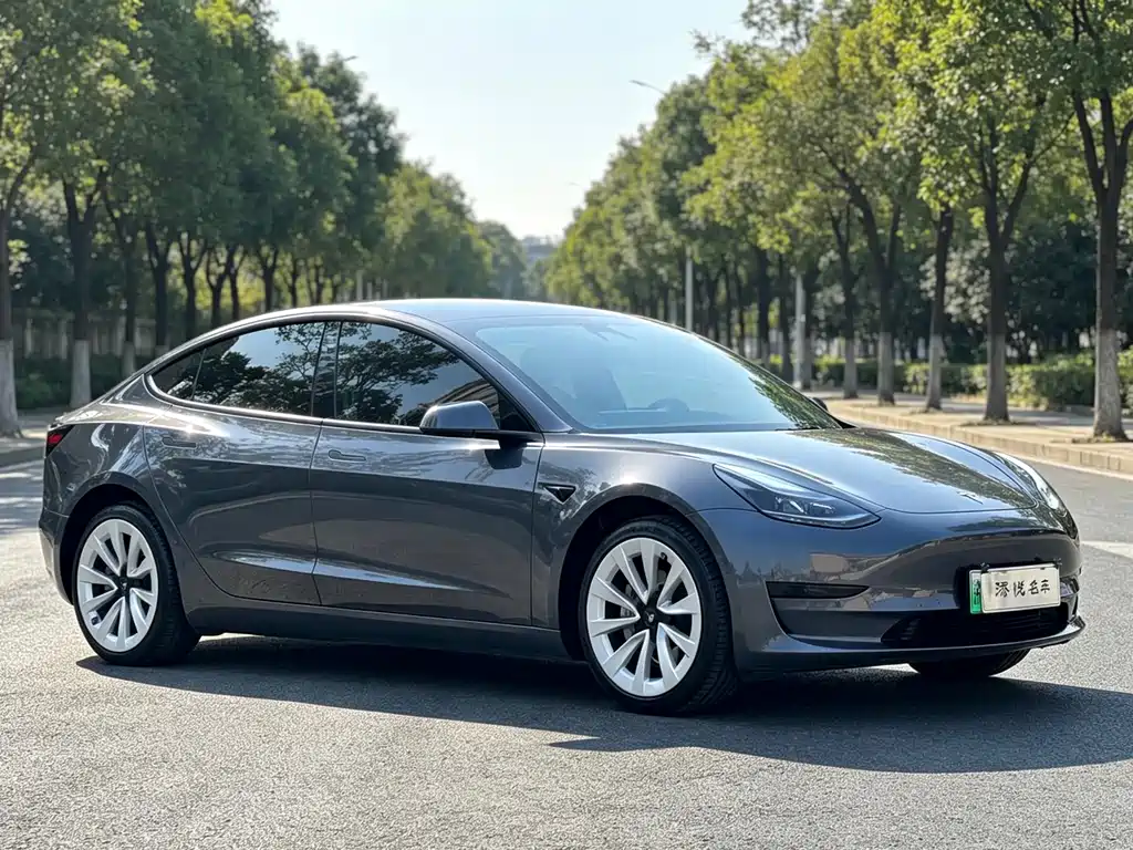 Tesla Model 3 — миниатюра 3