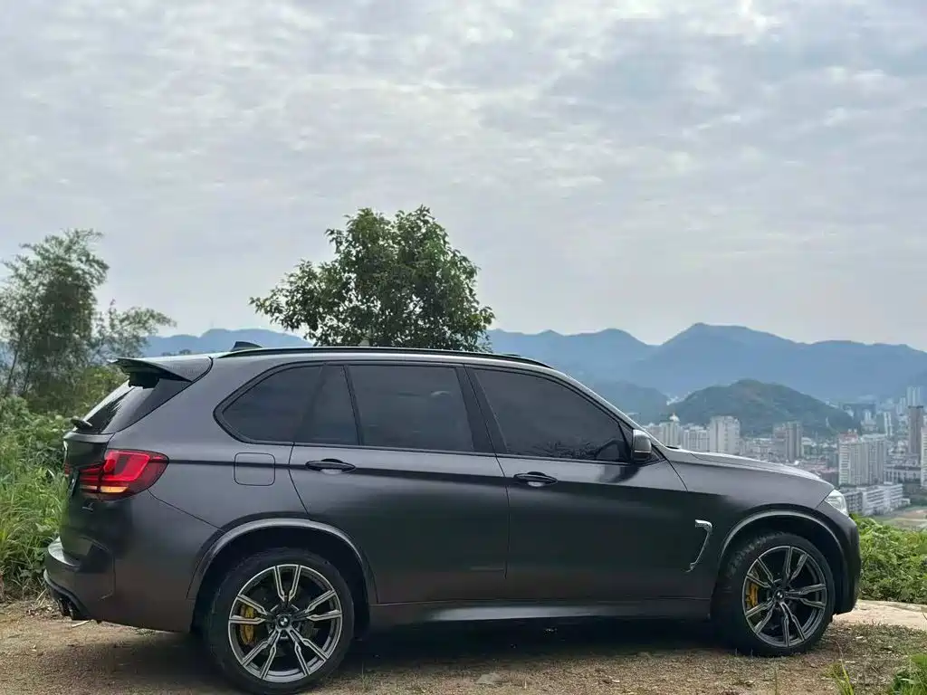 BMW X5 (Import) — миниатюра 11