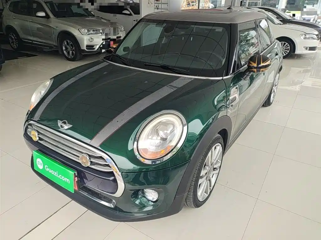 Mini Mini 2018