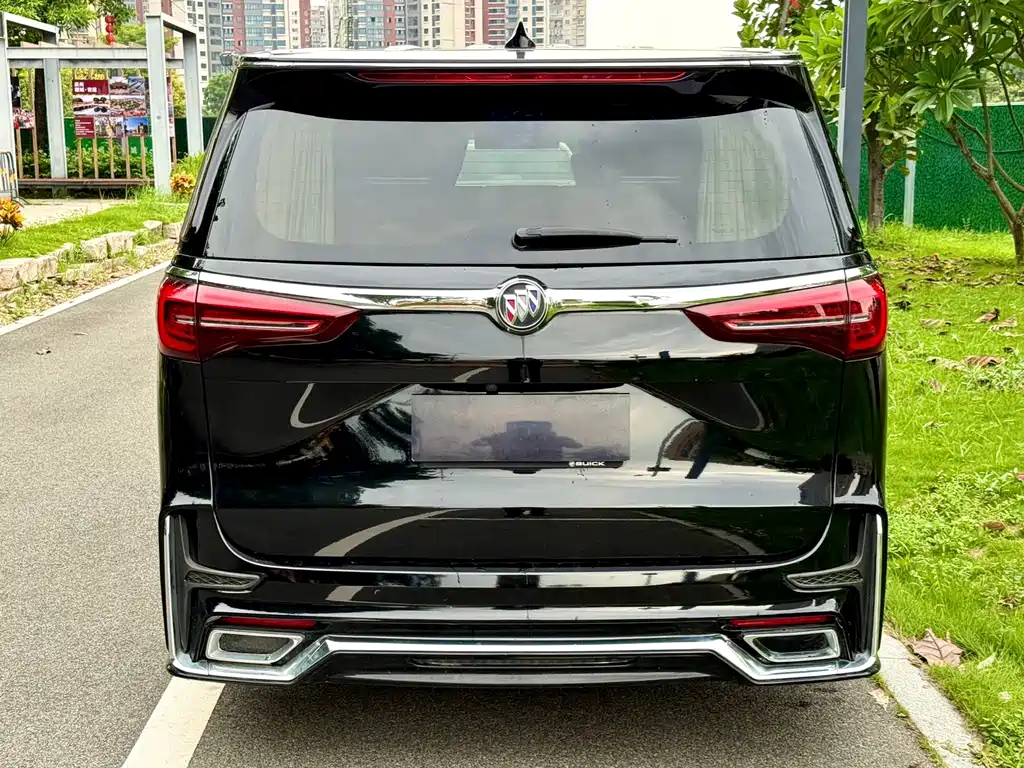 Buick GL8 — миниатюра 15