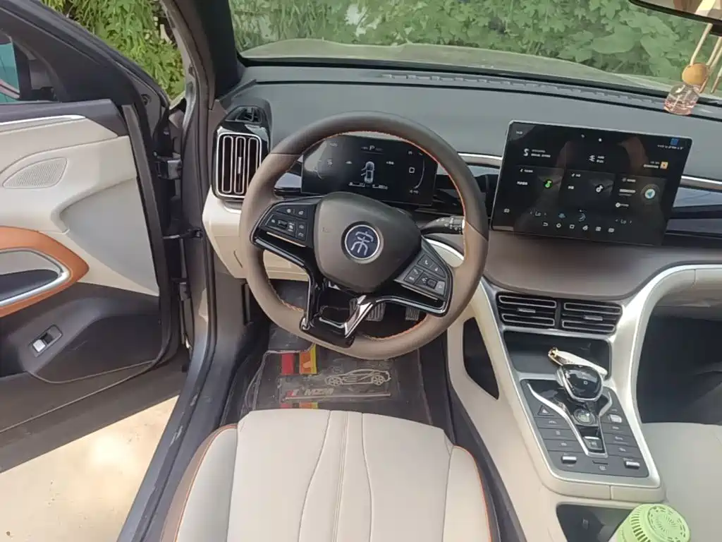 BYD Pro New Energy — миниатюра 11