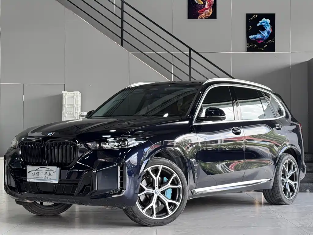 BMW X5 2024