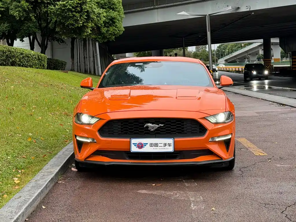 Ford Mustang — миниатюра 2