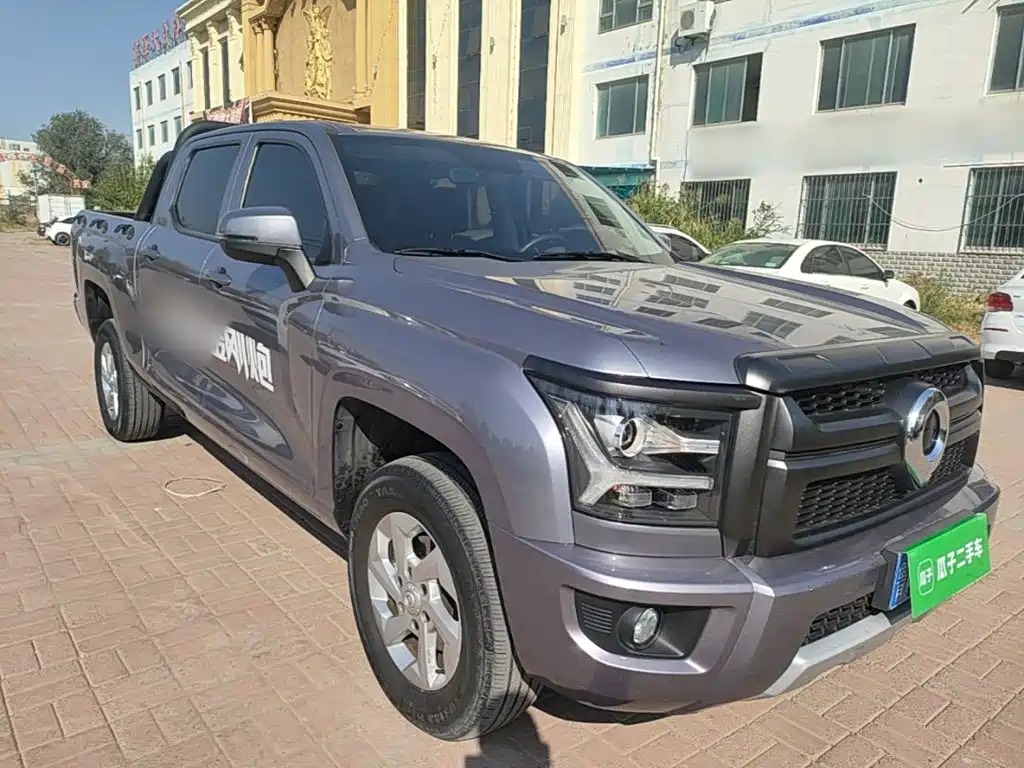 Great Wall King Kong Pao — миниатюра 4