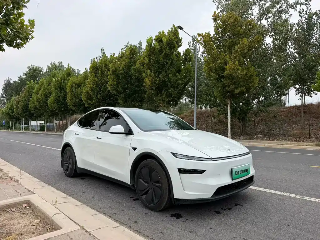 Tesla Model Y — миниатюра 3