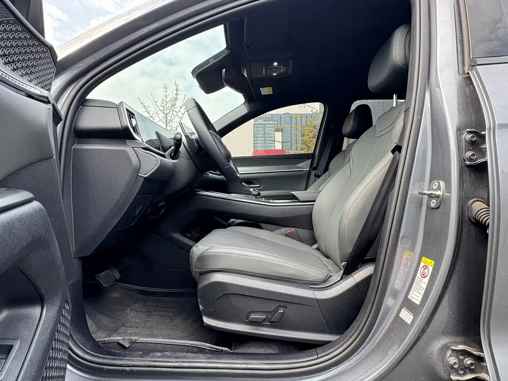 BYD Pro New Energy — миниатюра 10