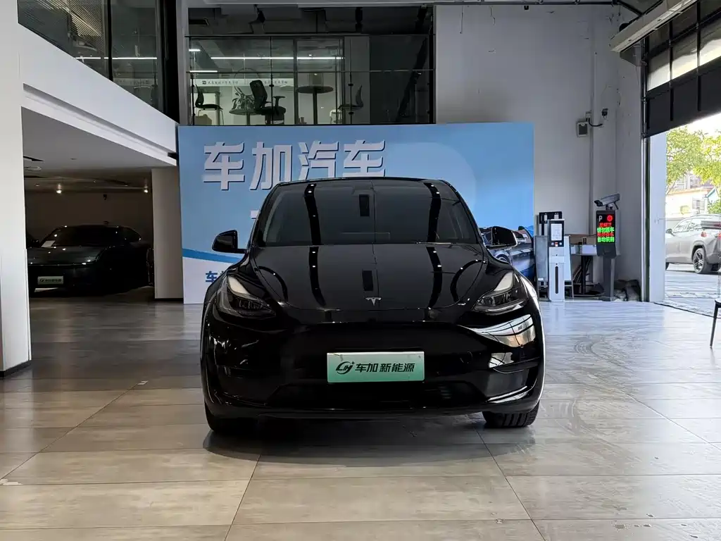 Tesla Model Y — миниатюра 2