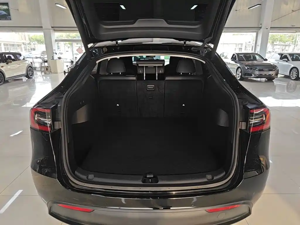 Tesla Model Y — миниатюра 19