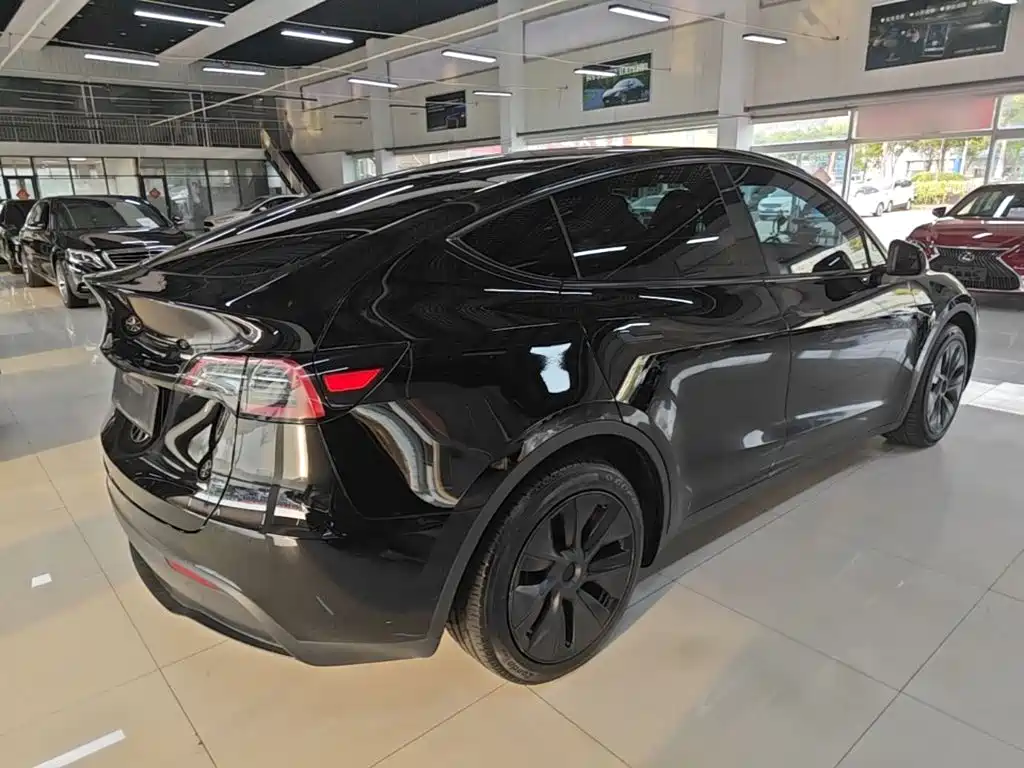 Tesla Model Y — миниатюра 7