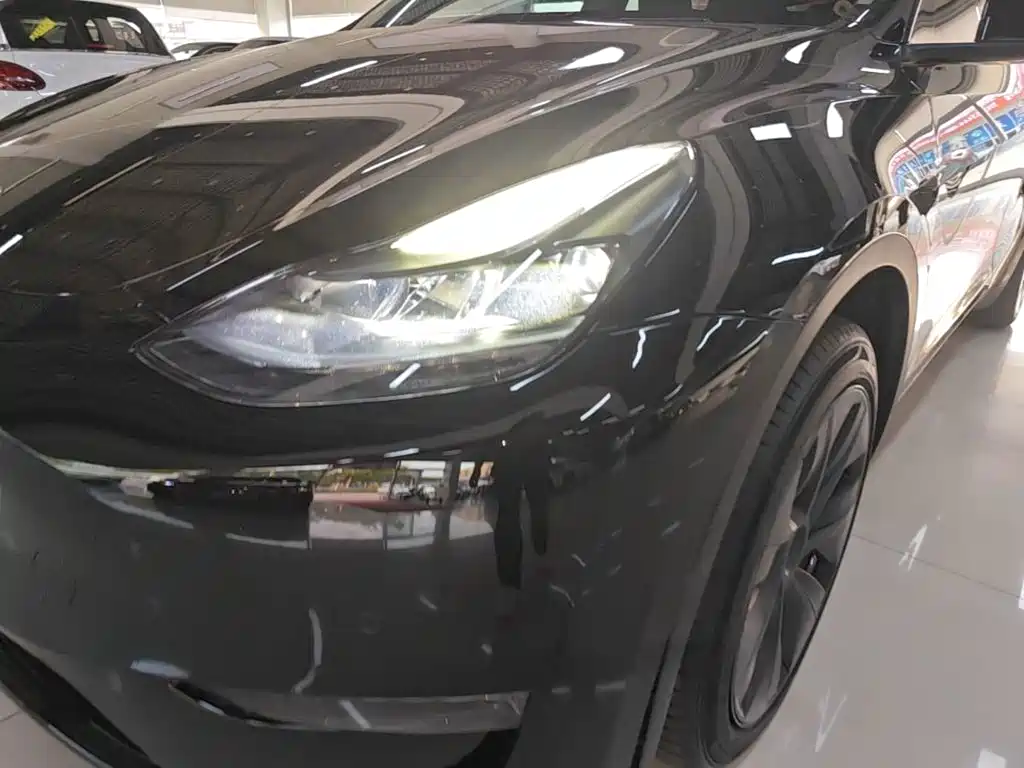 Tesla Model Y — миниатюра 24