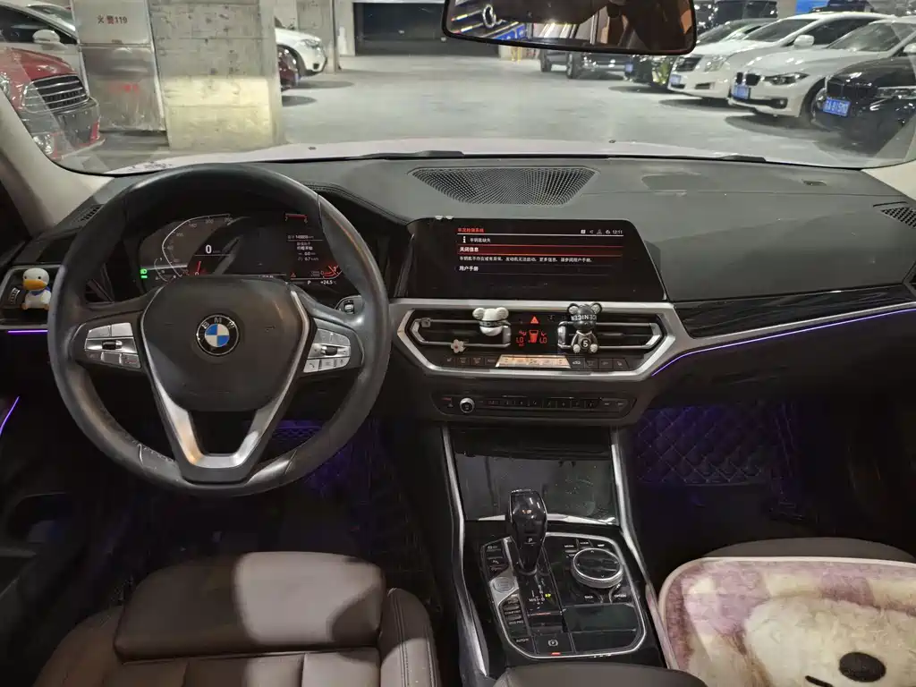 BMW 3 Series 3 2020 325Li