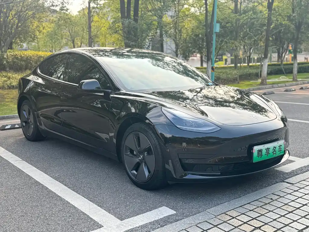 Tesla Model 3 — миниатюра 3