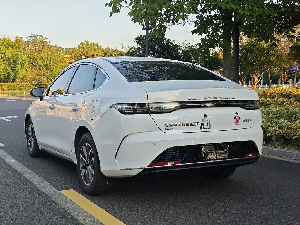 BYD Destroyer 05 — миниатюра 14