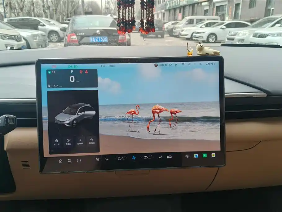 ARCFOX EXTREME FOX POLAR FOX ALPHA T5